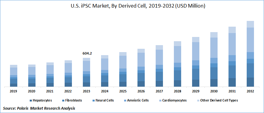 Induced Pluripotent Stem Cell (iPSC) Market Size